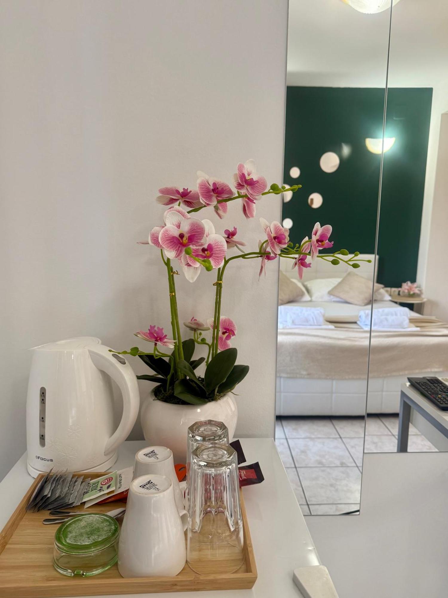 Apartments Ana & Ita Novalja Εξωτερικό φωτογραφία